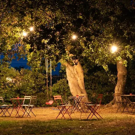 Goldener 2 * Zacharo