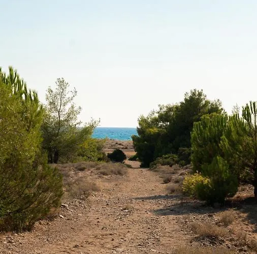 Tatil Evi Goldener 2 *